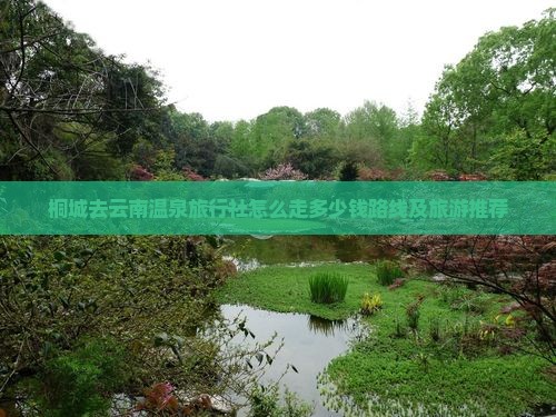 桐城去云南温泉旅行社