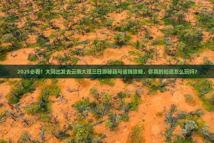 大同去云南大理三日游