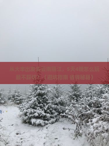 大丰去云南丽江旅游