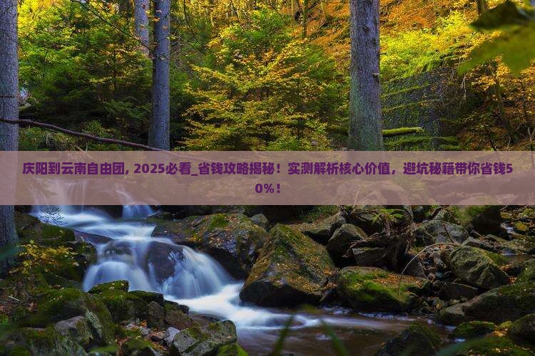 庆阳到云南自由团