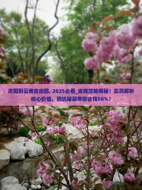 庆阳到云南自由团