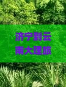 济宁到云南大理旅游