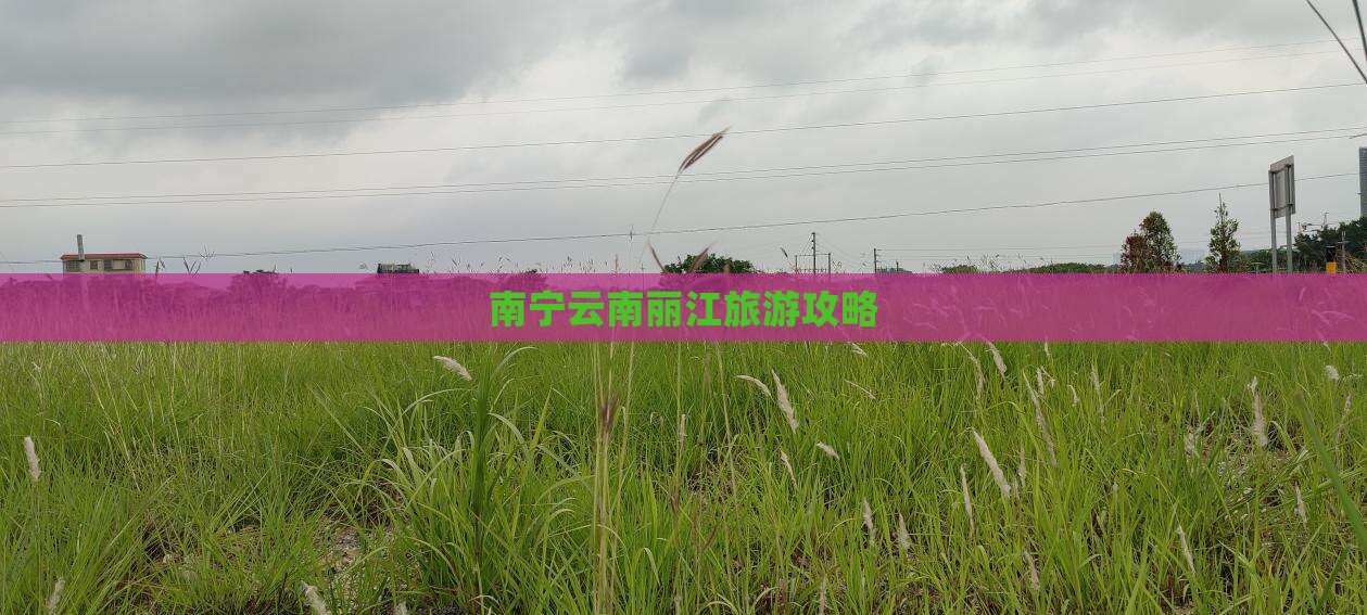 南宁去云南丽江自由行