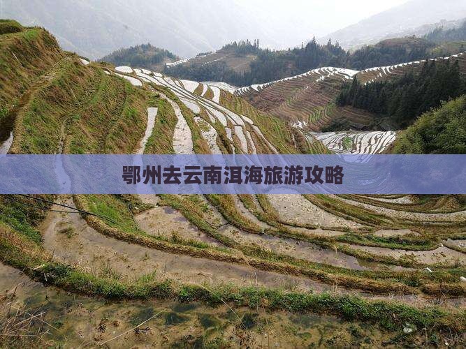 鄂州去云南洱海自由团