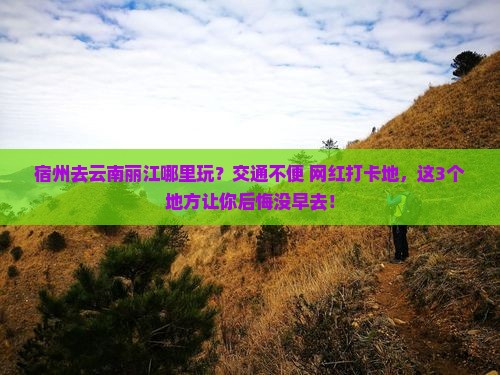 宿州去云南丽江哪里玩