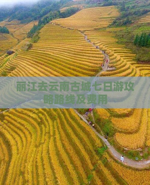 丽江去云南古城七日游