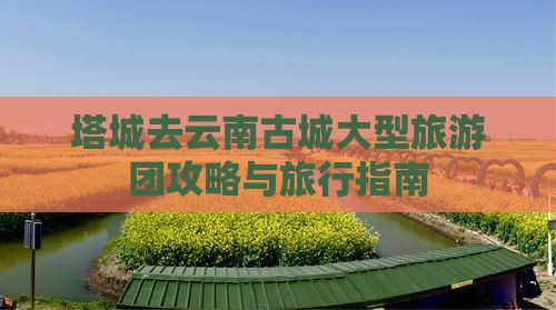 塔城去云南古城大型旅游团
