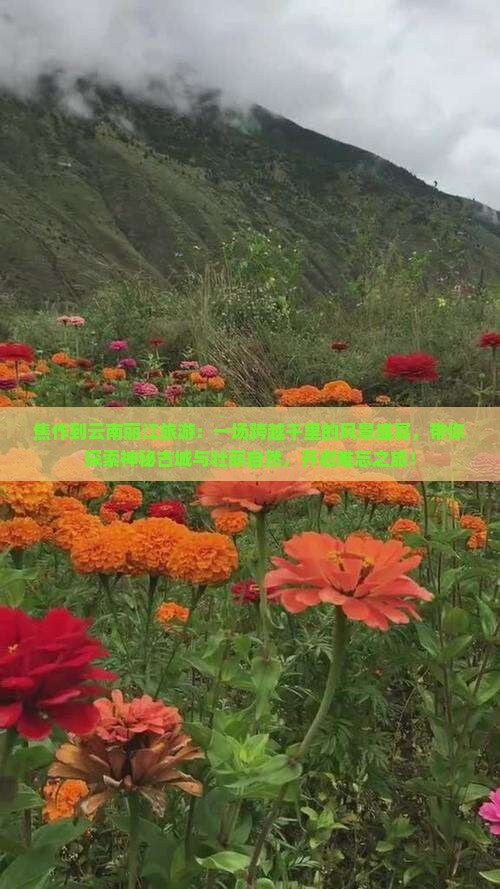焦作到云南丽江旅游