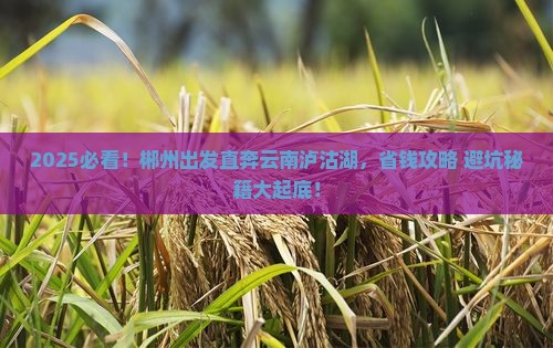 郴州到云南泸沽湖旅行社