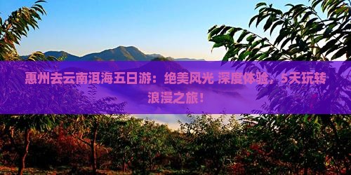 惠州去云南洱海五日游