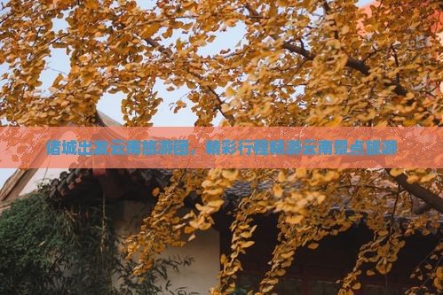 诸城去云南自由团