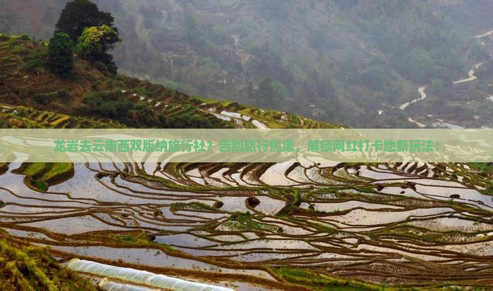 龙岩去云南西双版纳旅行社
