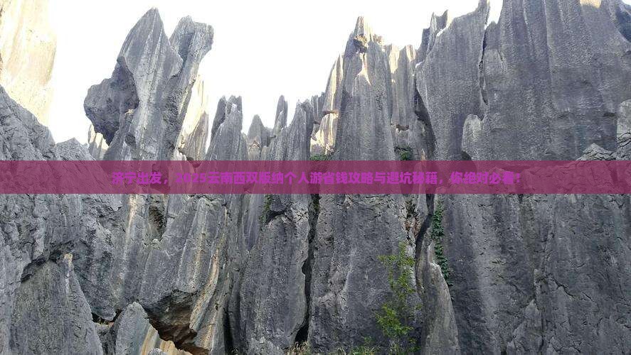 济宁到云南西双版纳个人游 济宁到云南西双版纳个人游