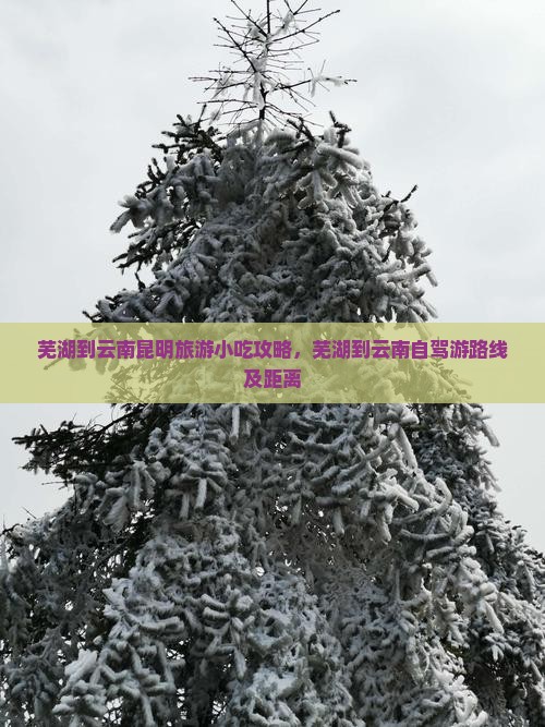 芜湖到云南昆明旅游小吃