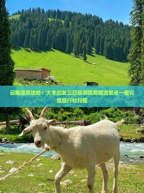 云南温泉攻略：大丰出发三日旅游路犀精选景点一看究竟旅行社行程
