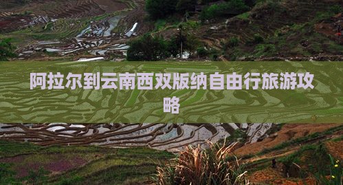 阿拉尔到云南西双版纳自由行旅游攻略