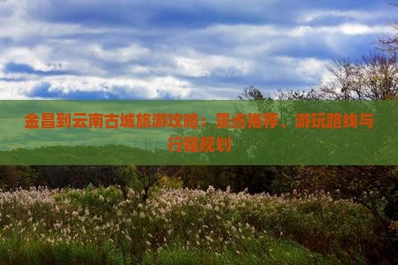 金昌到云南古城旅游攻略：景点推荐、游玩路线与行程规划