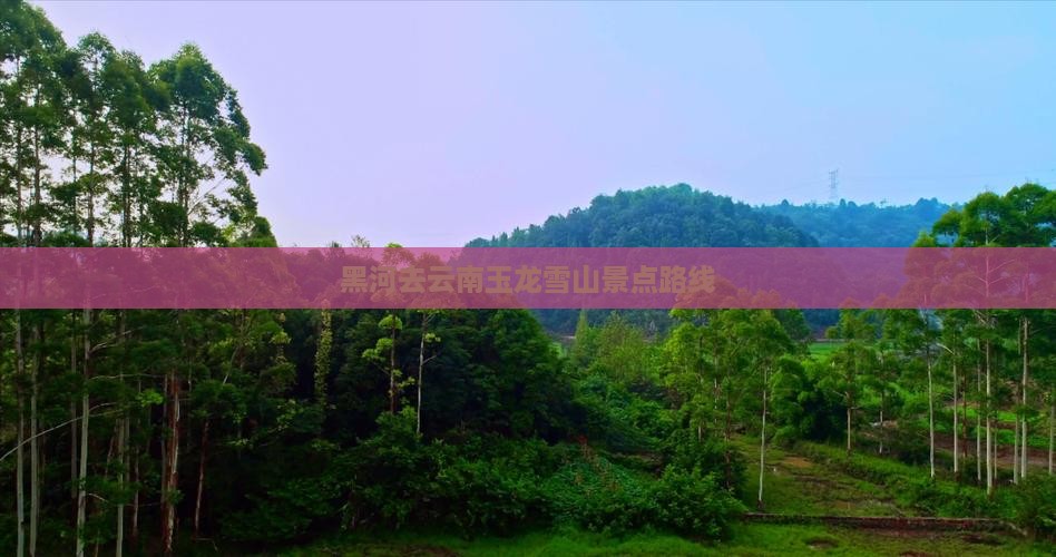 黑河去云南玉龙雪山景点路线