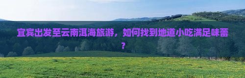 宜宾到云南洱海旅游小吃