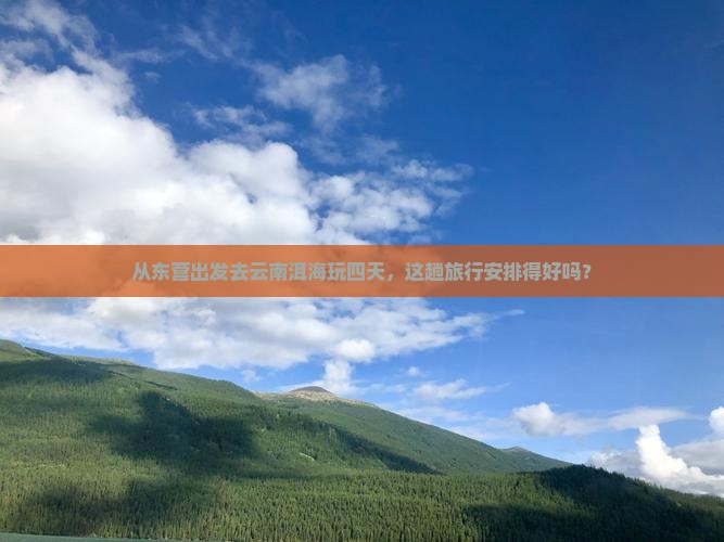 东营去云南洱海四日游