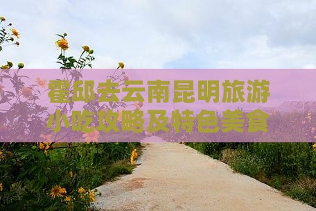 霍邱去云南昆明旅游小吃