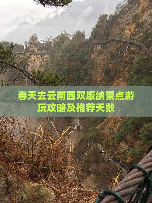 春天去云南西双版纳景点