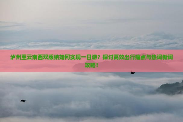 泸州到云南西双版纳一日