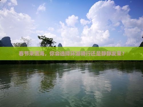 春节到云南洱海旅游