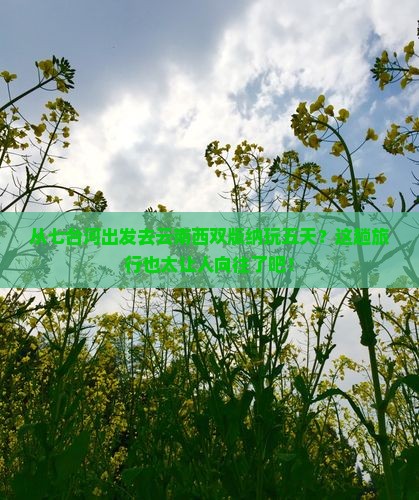 七台河到云南西双版纳五日游