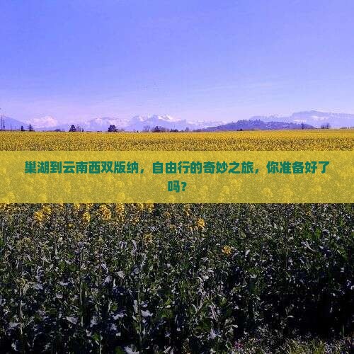 巢湖去云南西双版纳自由团