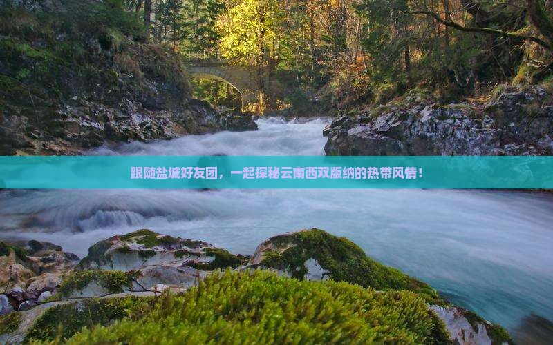 盐城去云南西双版纳大型旅游团