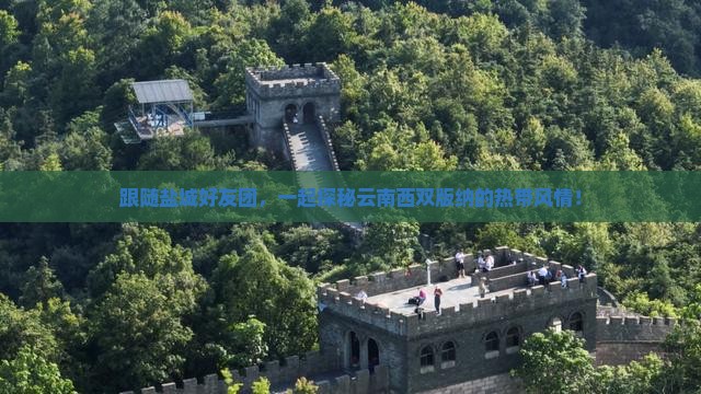 盐城去云南西双版纳大型旅游团