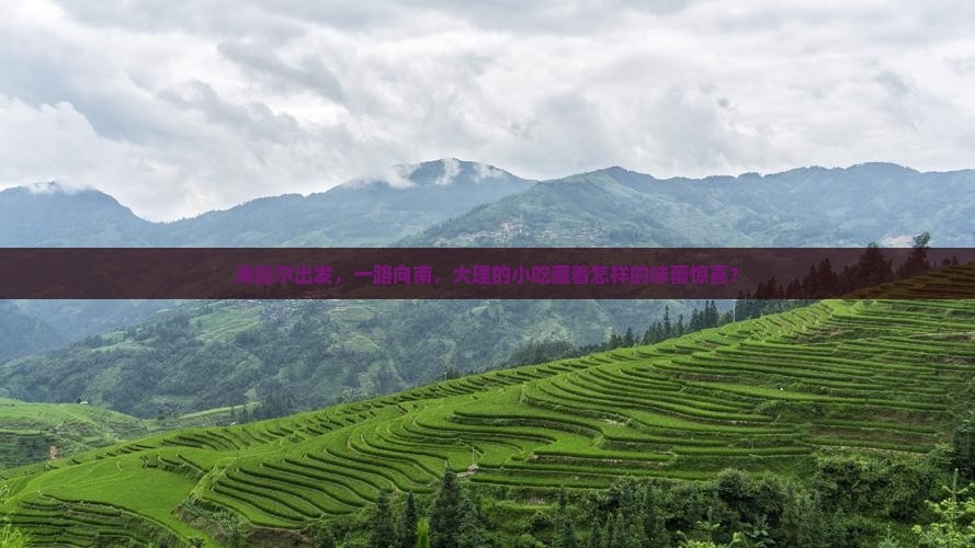 海拉尔到云南大理旅游小吃