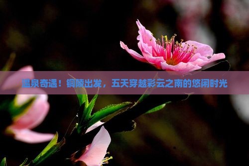 铜陵到云南温泉五日游