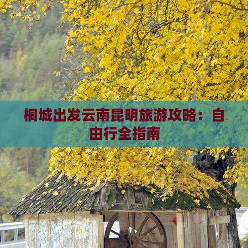 桐城到云南昆明自由行