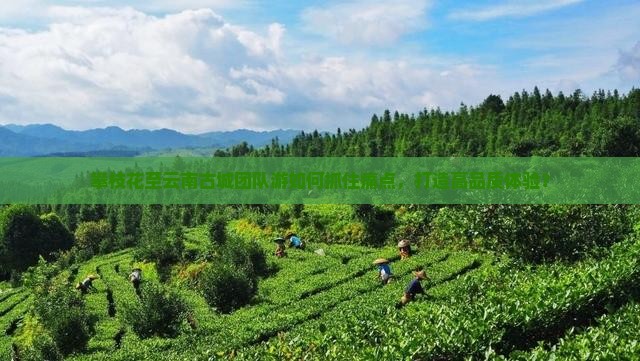 攀枝花去云南古城团体旅游
