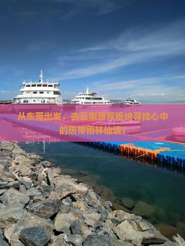 东莞到云南西双版纳团体旅游