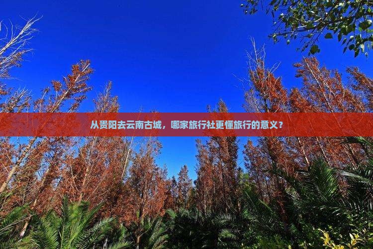 贵阳到云南古城旅行社