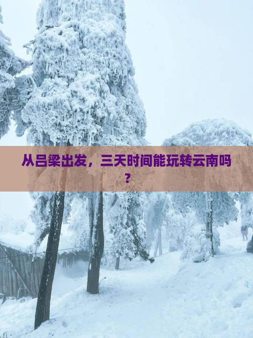 吕梁到云南三日游