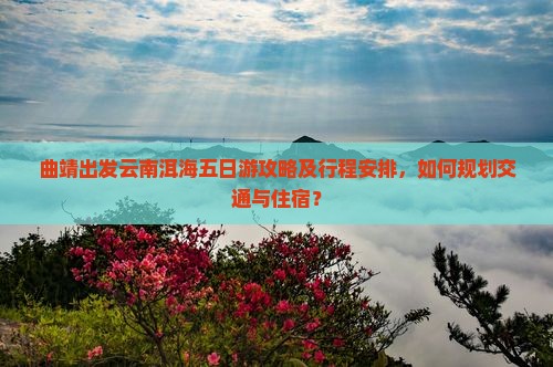 曲靖去云南洱海五日游