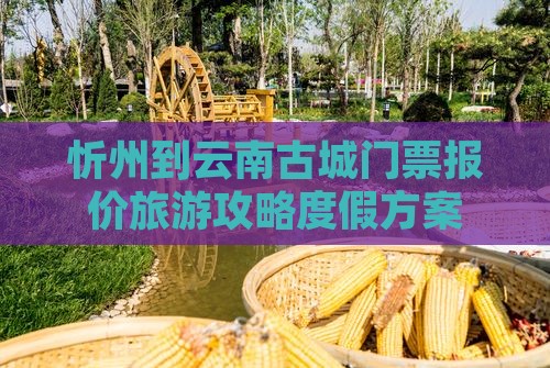 忻州到云南古城门票