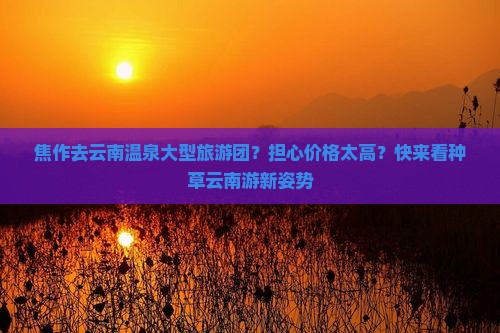 焦作去云南温泉大型旅游团