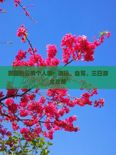 贵阳到云南个人游