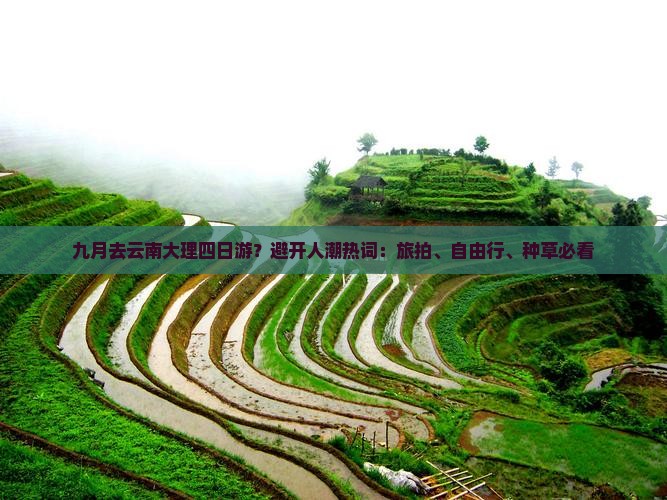 九月去云南大理四日游