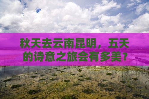 秋天到云南昆明五日游