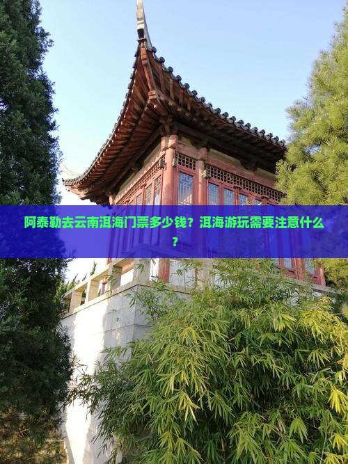 阿泰勒去云南洱海门票