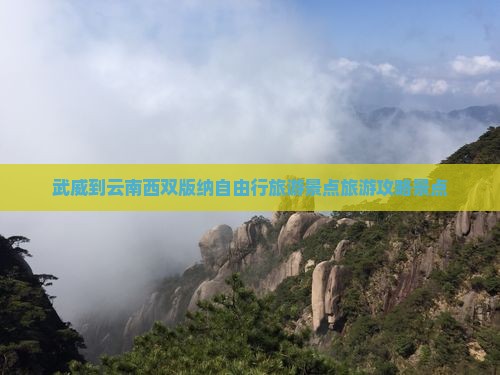 武威到云南西双版纳自由行