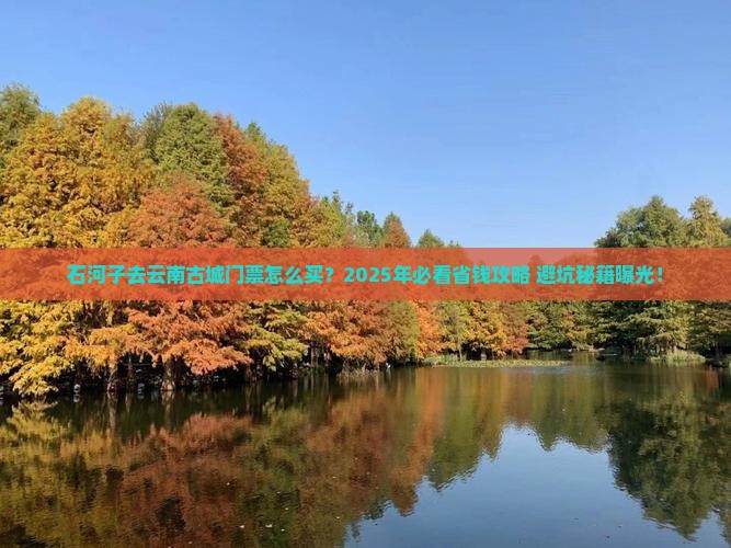 石河子去云南古城门票