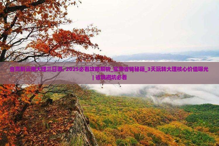 自贡到云南大理三日游