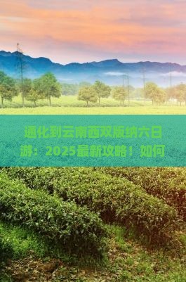 通化到云南西双版纳六日游